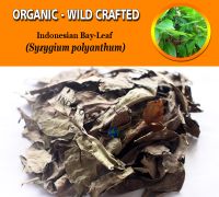 WHOLESALE Indonesian Bay Leaf Syzygium Polyanthum Organic Wild Crafted Herbs