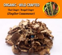 WHOLESALE Thai Ginger Cassumunar Ginger Bengal Ginger Bengal Root Bangle Zingiber Cassumunar Organic Wild Crafted Herbs