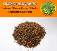 WHOLESALE Coriander Seeds Cilantro Chinese Parsley Coriandrum Sativum Organic Wild Crafted Herbs