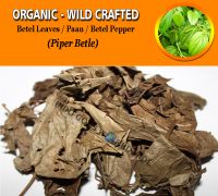 WHOLESALE Betel Leaf Paan Betel Pepper Piper Betle Organic Wild Crafted Herbs