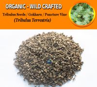 WHOLESALE Tribulus Seeds Gokharu Puncture Vine Tribulus Terrestris Organic Wild Crafted Herbs