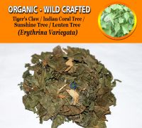 WHOLESALE Tiger's Claw Indian Coral Tree Sunshine Tree Lenten Tree Erythrina Variegata Organic Wild Crafted Herbs