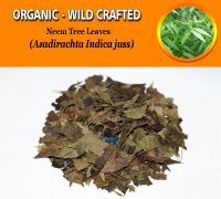 WHOLESALE Neem Tree Leaves Azadirachta Indica Organic Wild Crafted Herbs