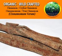 WHOLESALE Cinnamon Ceylon Cinnamon Cinnamomum True Cinnamon Cinnamomum Verum Organic Wild Crafted Herbs