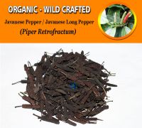 WHOLESALE Javanese Pepper Javanese Long Pepper Piper Retrofractum Organic Wild Crafted Herbs