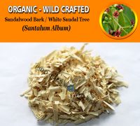 WHOLESALE Sandalwood Bark White Sandal Tree Santalum Album Organic Wild Crafted Herbs