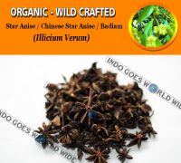 WHOLESALE Star Anise Chinese Star Anise Badiam Illicium Verum Organic Wild Crafted Herbs