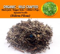 WHOLESALE Spanish Needle Bidens Pilosa Black-jack Beggar-ticks Cobbler's Pegs Organic Wild Crafted Herbs