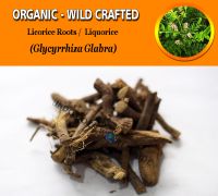WHOLESALE Licorice Roots Liquorice Glycyrrhiza Glabra Organic Wild Crafted Herbs