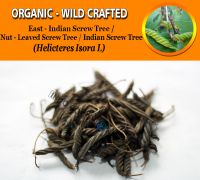 WHOLESALE Indian Screw Tree East-Indian Screw Tree Nut-leaved Screw Tree Helicteres Isora Organic Wild Crafted Herbs