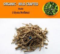 WHOLESALE Maile Pulosari Alyxia Stellata Organic Wild Crafted Herbs
