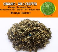 WHOLESALE Moringa Leaf Drumstick Tree Horseradish Tree Ben Oil Tree Benzoil Tree Moringa Oleifera Organic Wild Crafted Herbs