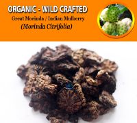 WHOLESALE Great Morinda Fruits Indian Mulberry Noni Morinda Citrifolia Organic Wild Crafted Herbs