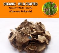 WHOLESALE Zedoary White Turmeric Curcuma Zedoaria Organic Wild Crafted Herbs