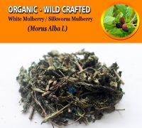 WHOLESALE White Mulberry Silkworm Mulberry Morus Alba Organic Wild Crafted Herbs