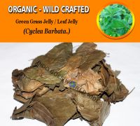 WHOLESALE Green Grass Jelly Leaf Jelly Cyclea Barbata Organic Wild Crafted Herbs