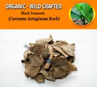 WHOLESALE Black Turmeric Curcuma Aeruginosa Organic Wild Crafted Herbs