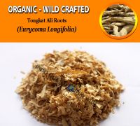 WHOLESALE Tongkat Ali Roots Eurycoma Longifolia Jack Pasak Bumi Organic Wild Crafted Herbs