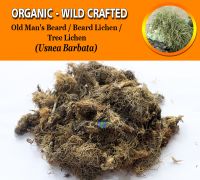 WHOLESALE Old Man's Beard Beard Lichen Tree Lichen Usnea Barbata Organic Wild Crafted Herbs