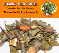 WHOLESALE Tea Tree Mistletoe Loranthus Parasiticus Organic Wild Crafted Herbs