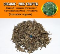 WHOLESALE Mugwort Common Wormwood Felon Herb Chrysanthemum Weed Artemisia Vulgaris Organic Wild Crafted Herbs