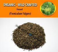 WHOLESALE Fennel Adas Foeniculum Vulgare Organic Wild Crafted Herbs