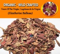 WHOLESALE Tears Of The Virgin Lagrimas de la Virgen Eleutherine Bulbosa Organic Wild Crafted Herbs