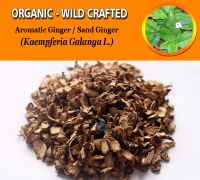 WHOLESALE Aromatic Ginger Sand Ginger Cutcherry Resurrection Lily Kaempferia Galanga Organic Wild Crafted Herbs