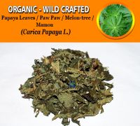 WHOLESALE Papaya Leaves Paw Paw Melon-tree Mamon Carica Papaya Organic Wild Crafted Herbs