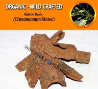 WHOLESALE Sintoc Bark Cinnamomum Sintoc Organic Wild Crafted Herbs