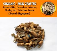 WHOLESALE Peanuts Skin Ground-nut Goober Monkey Nut Cultivated Peanut Arachis Hypogaea Organic Wild Crafted Herbs
