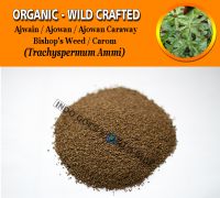 WHOLESALE Ajwain Ajowan Ajowan Caraway Bishop's Weed Carom Trachyspermum Ammi Organic Wild Crafted Herbs