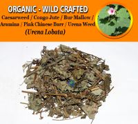 WHOLESALE Caesarweed Congo Jute Bur Mallow Aramina Pink Chinese Burr Urena Weed Urena Lobata Organic Wild Crafted Herbs