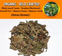 WHOLESALE Black-wood Cassia Bombay Blackwood Kassod Tree Siamese Senna Siamese Cassia Senna Siamea Organic Wild Crafted Herbs