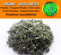 WHOLESALE Pandan Leaf Fragrant Pandan Screwpine Scented Pandan Fragrant Screwpine Pandanus Amaryllifolius Organic Wild Crafted Herbs