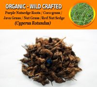 WHOLESALE Purple Nutsedge Roots Coco-grass Java Grass Nut Grass Red Nut Sedge Cyperus Rotundus Organic Wild Crafted Herbs
