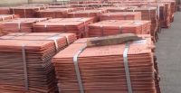 Buy Copper Cathodes / 99.99% GRADE