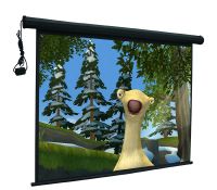 Sell all kinds of projector screens