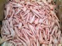 Halal Frozen chicken Paws, feet, wings, breast, boneless, drumsticks, whole, gizzards, fresh, poultry, chick, fowl, hen meat