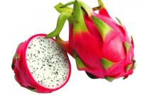 Dragon fruits, Durian, Olives, Guavas, banana, Papaya, avocado, oranges, apples, grapes, mangoes, Lemon, Oranges, Limes, Citrus, pineapples, Cherries, Berries, Peaches Apricots, Plums, 