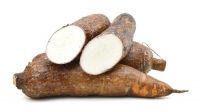 Fresh Cassava, Cassava Chips, Cassava Flour, Tapioca Flour, Alphastarch, Frozen Cassava, Starch, Potatoes, Sweet potatoes, Taro