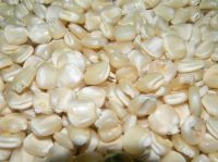 Corn, Yellow Corn, White Corn, Maize, Popcorn Kernels, cereals, grains, seeds, nuts