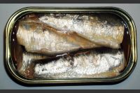 Quality Canned Sardines, Sardine fish, sea food, Canned Tuna, Tomato paste, Canned fruits, pineapples, canned corn, 