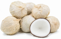 Fresh organic coconuts, Young coconuts, fresh coconut, organic coco nut, nuts, coconut copra, meal, husked, desiccated coconut, 