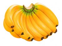 Ripe bananas, fresh Raw Bananas, Cavendish Banana, plantains, ripe, planty, farm, Fruits, vegetables, vitamins, iron