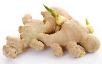 Quality fresh ginger, Organic, dry ginger, Quality Fresh Onions, Pearl Onions, Red Onions, Shallots, Yellow Onions, white, leeks, Ginger, Garlic, Beetroots, mints, spices, vegetables