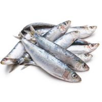 Fresh Frozen Sardine fish, Ribbon fish, sea food, mackerel, sardines, tuna fish, scad, salmon, cuttlefish, fresh, dried, stockfish, 