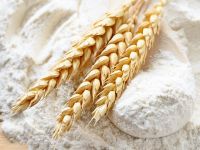 Quality Wheat Flour, Almond Flour, Corn Flour, bread, baking, powder, cake, farine, oat, maize
