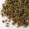 Sell Anise Seeds