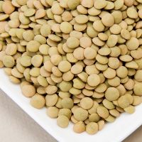 Grade A Red Lentils and Kidney beans for sale at cheap prices